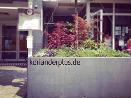 Фото: Koriander